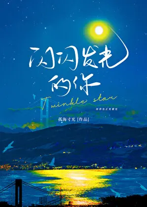 闪闪发光的你封面